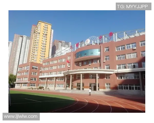 苏伟的奋斗历程与人生哲学探讨：从平凡到卓越的成长之路